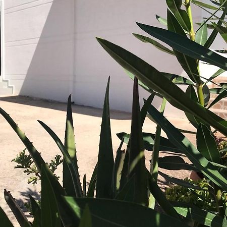 Alfa Apartaments ساراندا المظهر الخارجي الصورة