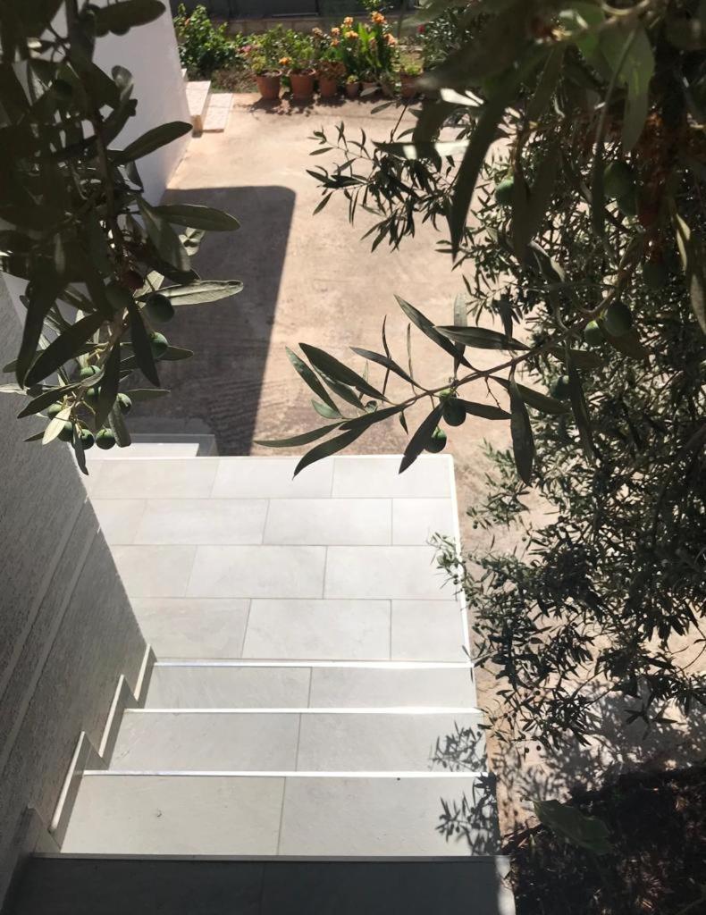 Alfa Apartaments ساراندا المظهر الخارجي الصورة