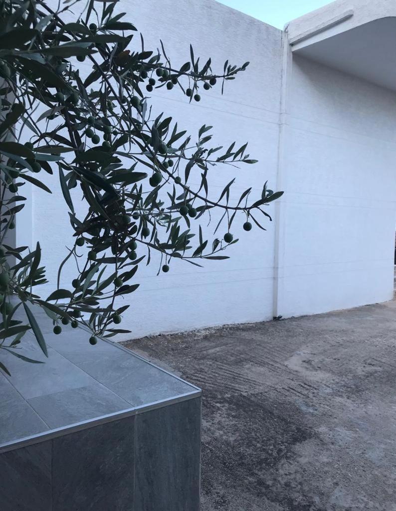 Alfa Apartaments ساراندا المظهر الخارجي الصورة